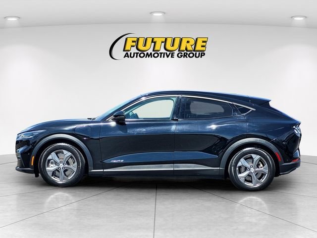 Used 2023 Black Ford Select image 7