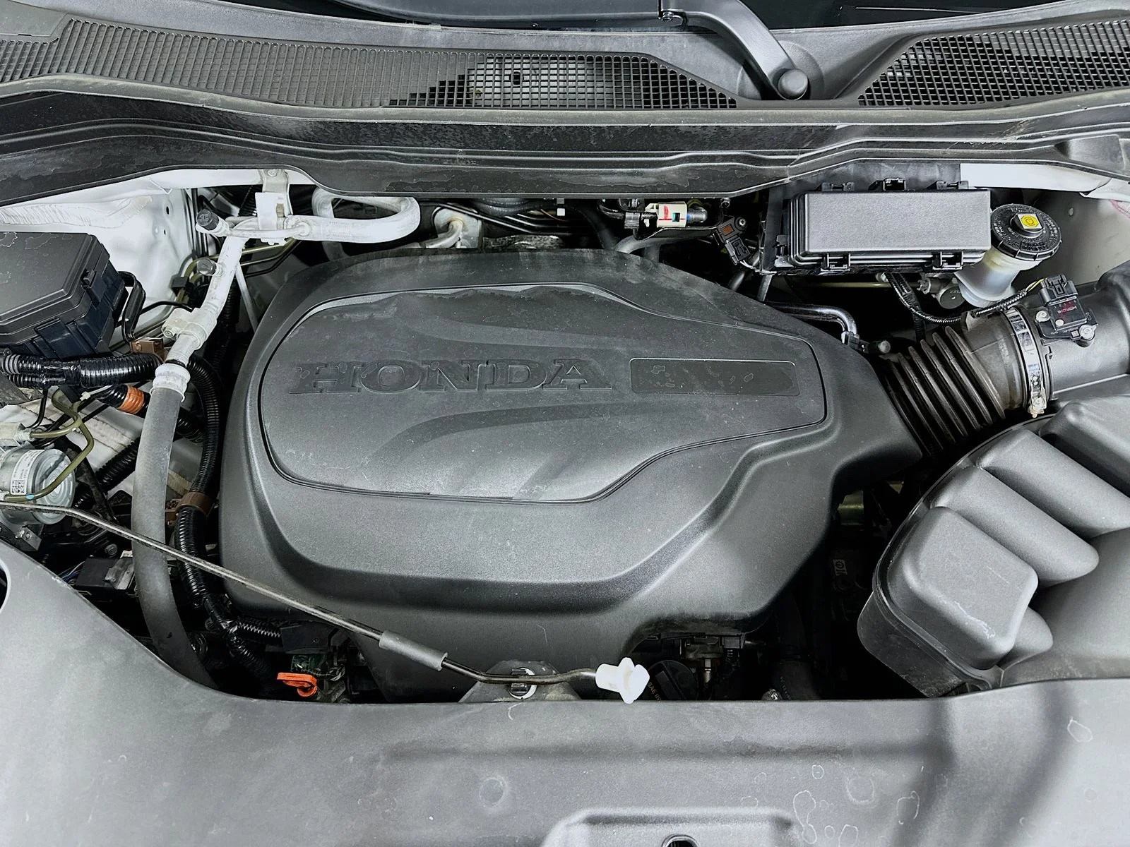 Used 2024 White Honda  image 13