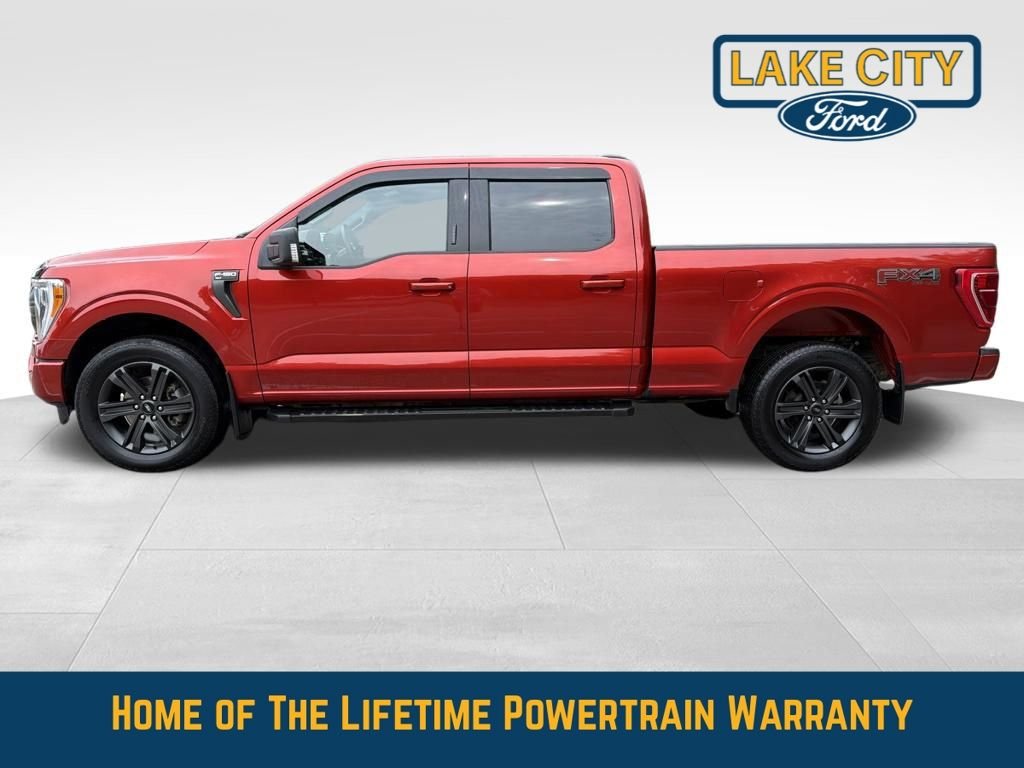 Used 2023 Ford F-150 XLT with VIN 1FTFW1E80PKE86398 for sale in Lake City, Minnesota