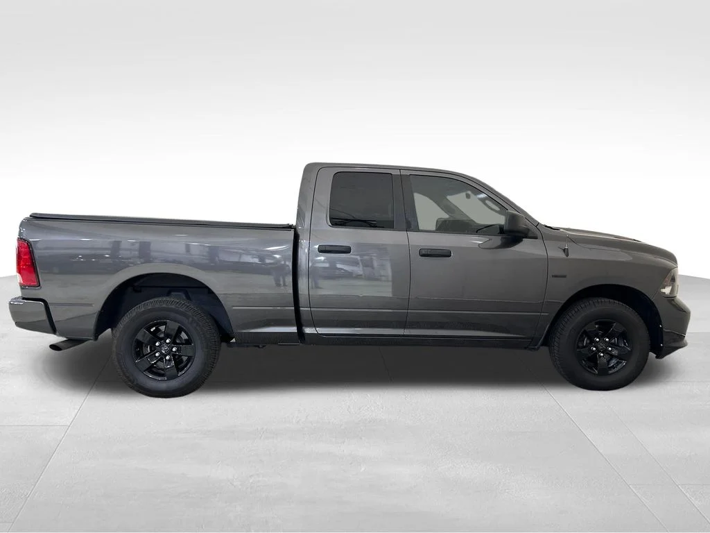 Used 2019 Gray Ram Express image 8
