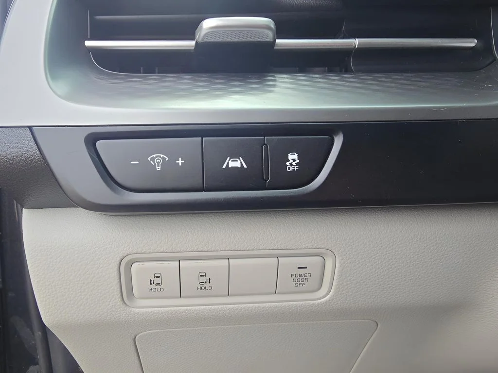 Used 2022 Pantera Metal Kia LX image 23
