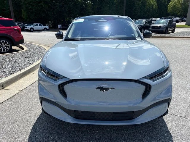 Used 2024 Gray Ford Premium image 3