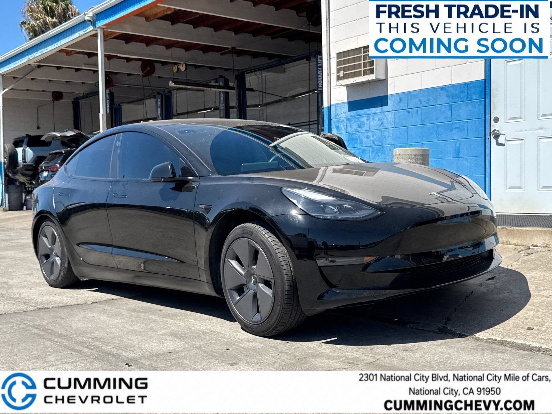 2022 Tesla Model 3 Standard Range Plus's photo