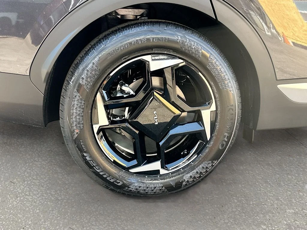 New 2026 Panthera Metal Kia EX image 30