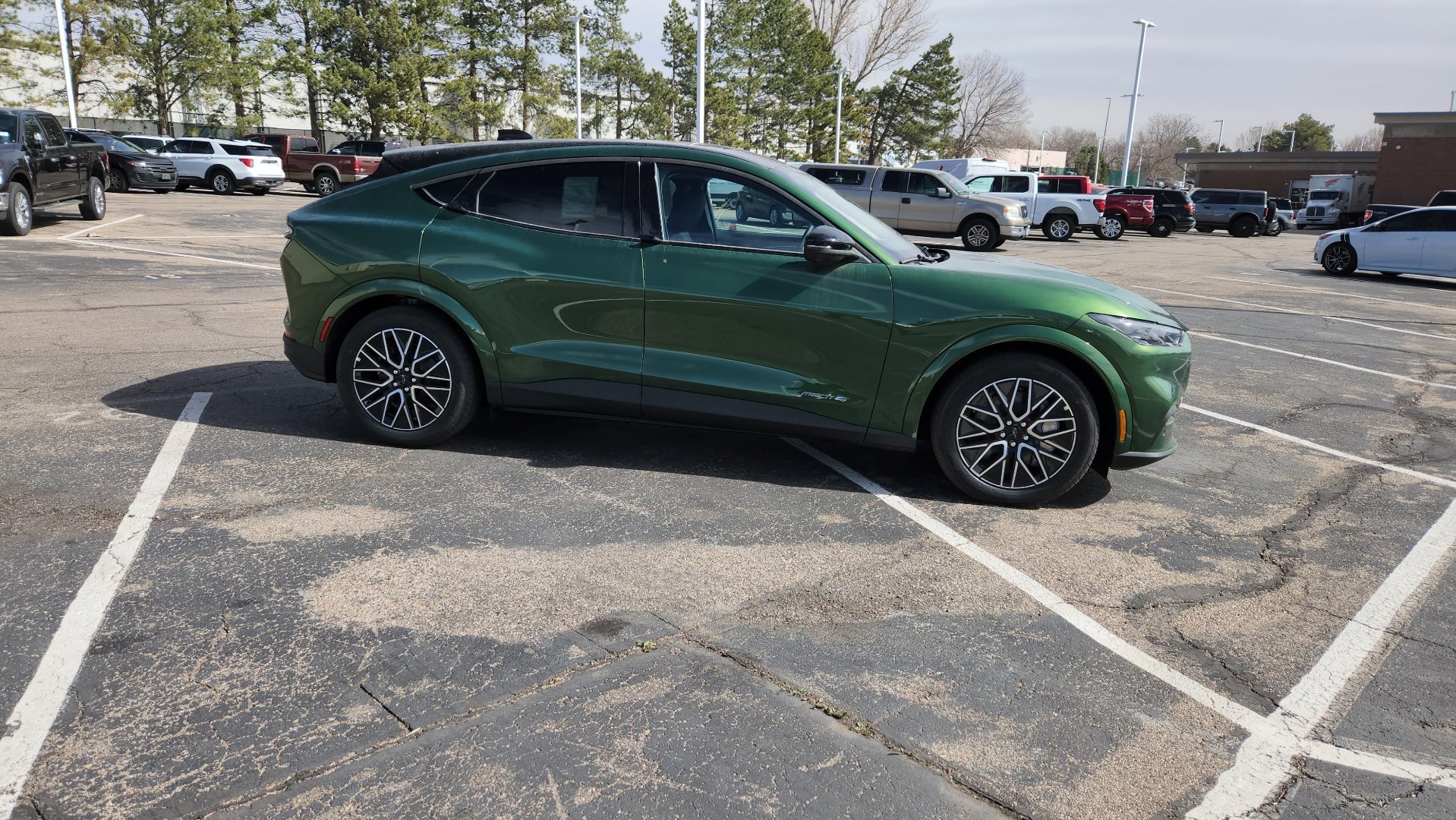 New 2026 Eruption Green Metallic Ford Premium image 16