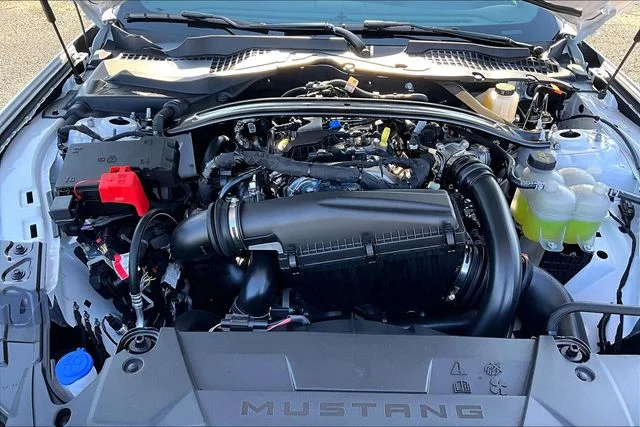 New 2026 White Ford EcoBoost Premium image 10