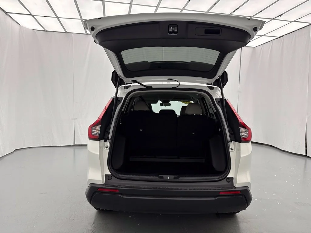 New 2026 Platinum White Pearl Honda LX image 10