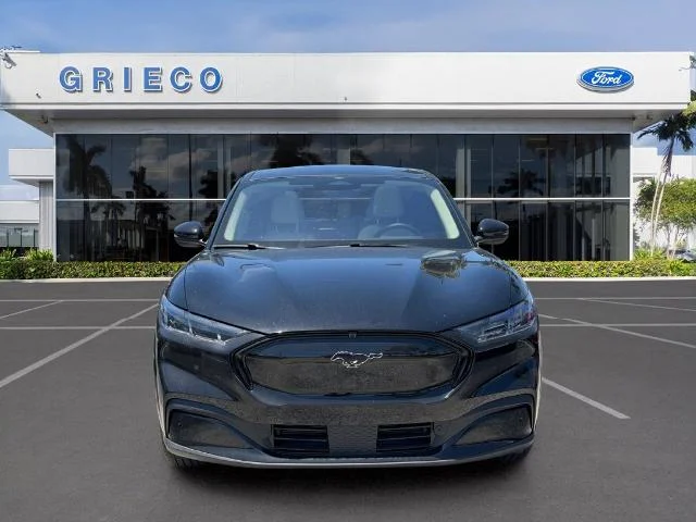 New 2026 Shadow Black Ford Premium image 18