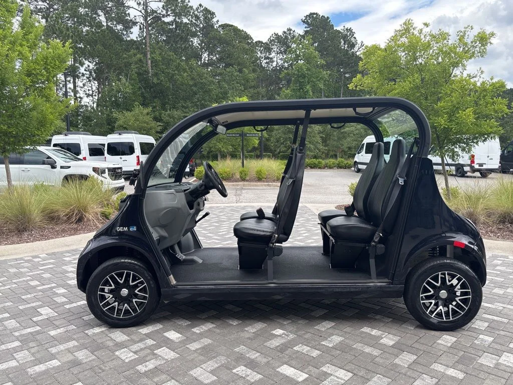 Used 2022 GRAY POLARIS E4 ELECTRIC image 4