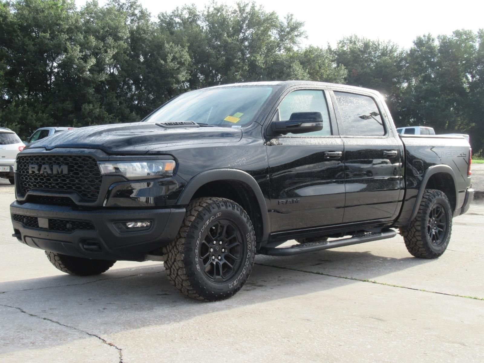 Used 2025 Black Ram Rebel image 2