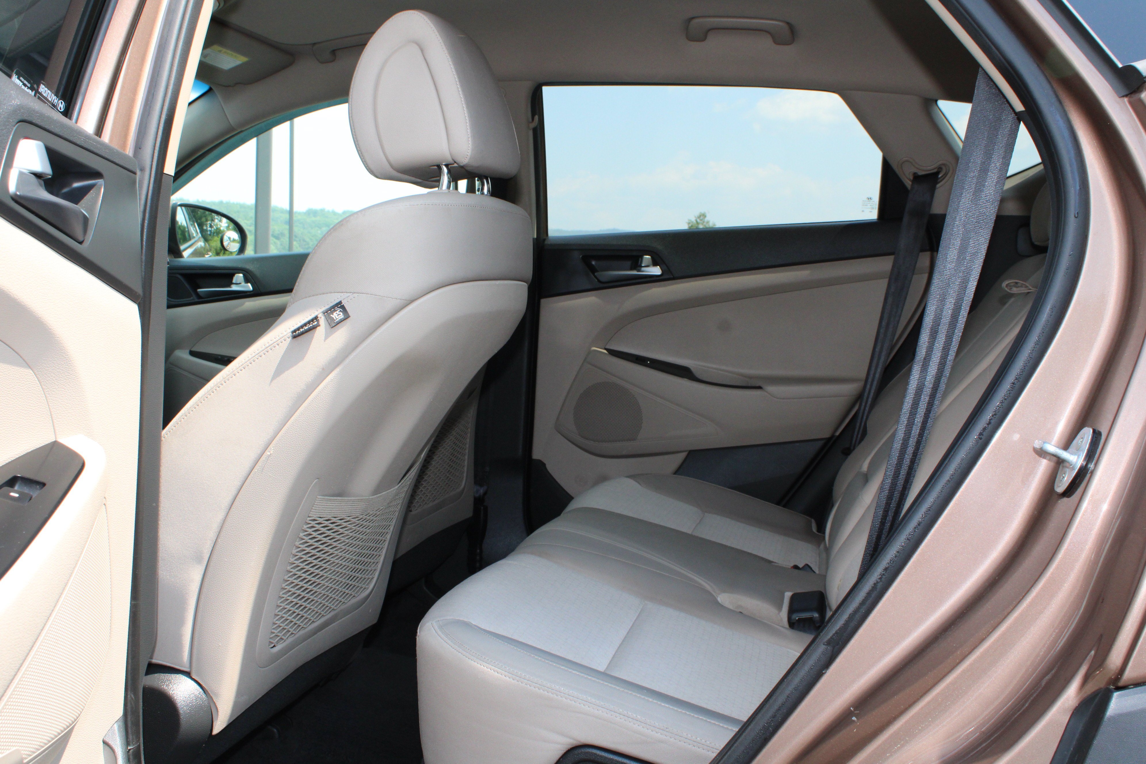 Used 2016 Mojave Sand Hyundai Eco image 14