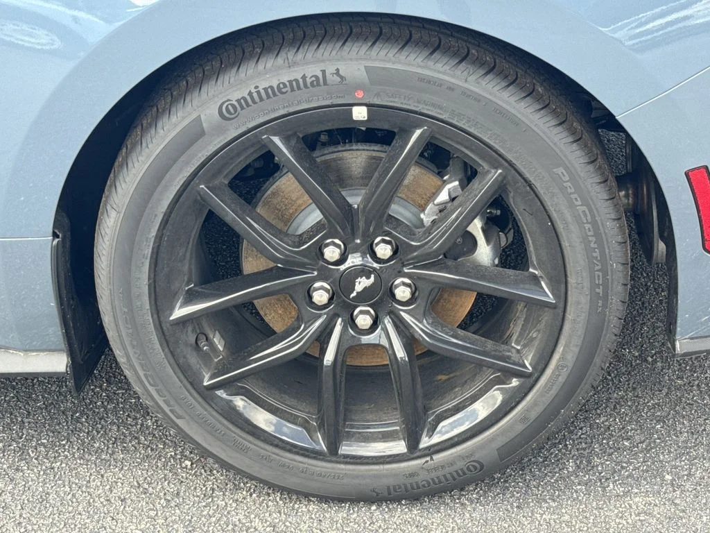 New 2026 Blue Ford EcoBoost image 18
