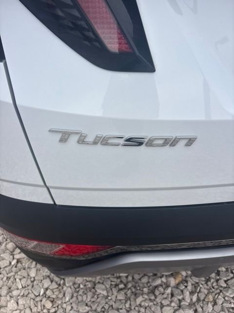Used 2024 White Hyundai Limited image 7