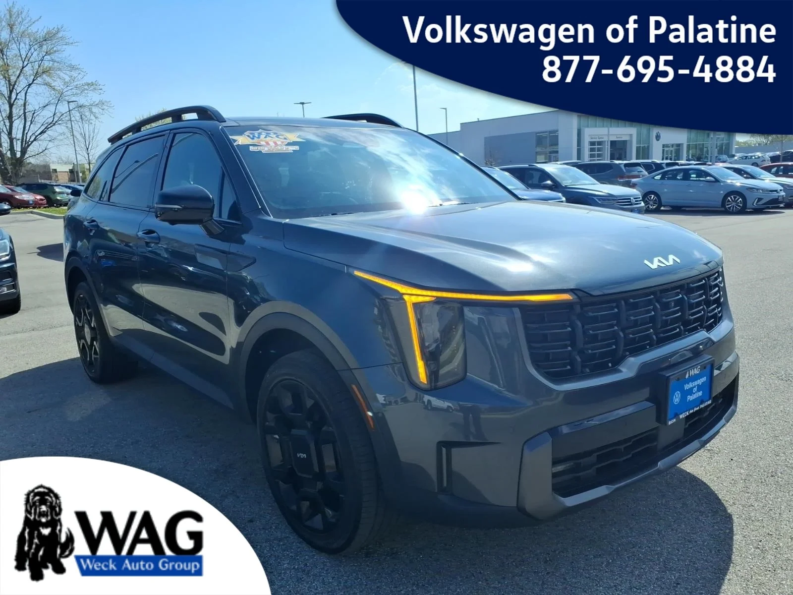 Used 2024 Gray Kia X-LINE SX PRESTIGE AWD image 1