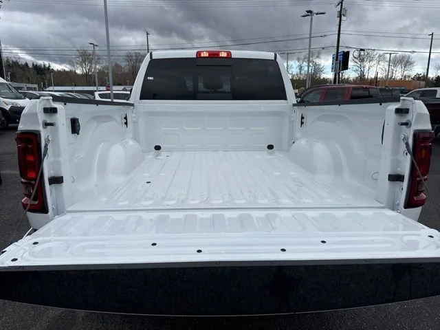 New 2026 Bright White Clear-Coat Exterior Paint RAM Black Express image 15