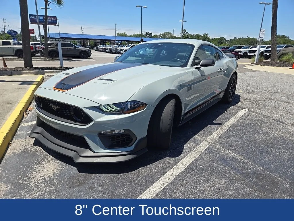 Used 2022 Fighter Jet Gray Ford Mach 1 image 4