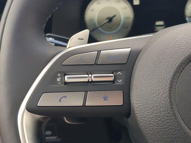 2025 Hyundai Palisade Calligraphy Night Edition - Photo 25