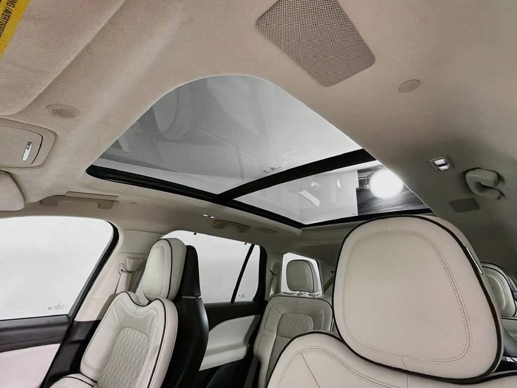 Used 2020 Radiance Metallic Lincoln Black Label image 23