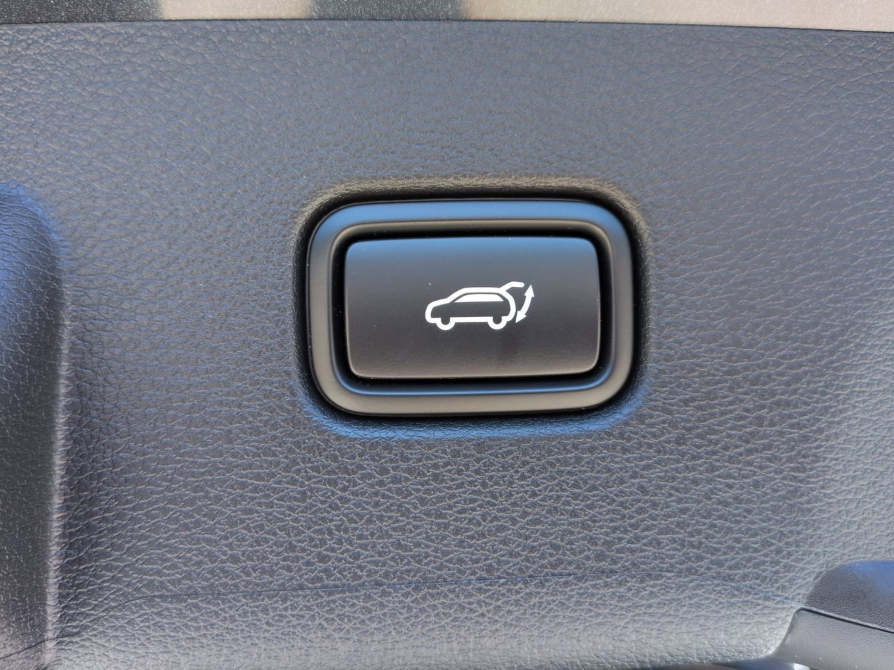 New 2026 Panthera Metal Matte Kia X-Line image 10