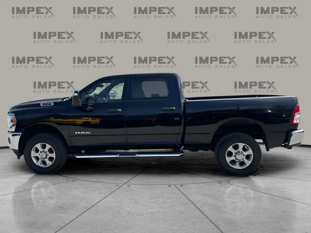 Used 2024 Black Ram Big Horn image 2