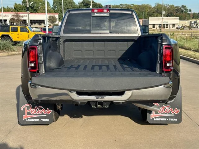 New 2026 Granite Crystal Metallic Clear-Coat Exterior Paint RAM Tradesman image 22