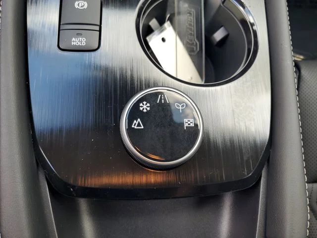 New 2026 Everest White Pearl TriCoat Nissan Platinum image 20