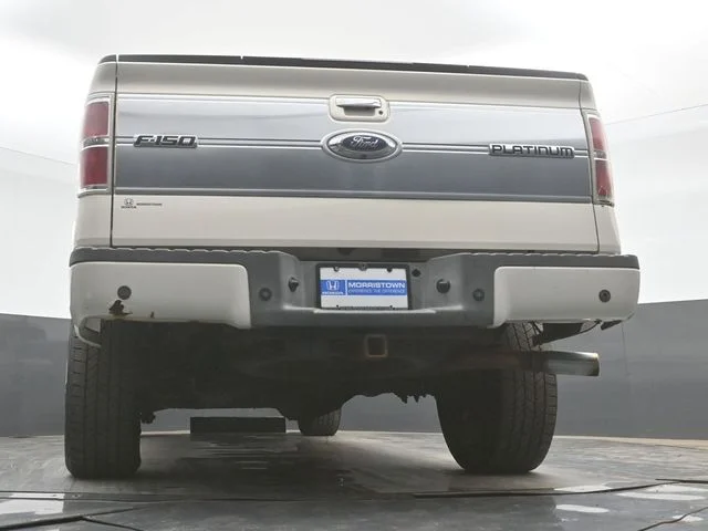Used 2009  Ford Platinum image 44