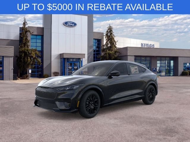 New 2026 Shadow Black Ford Premium image 1