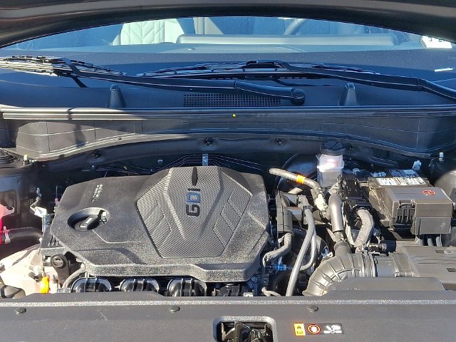 Used 2023 Black Kia X-Line image 30