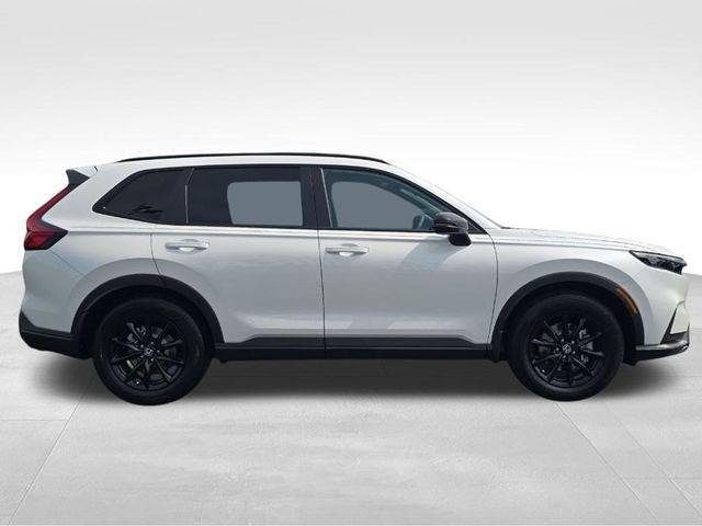 New 2026 Platinum White Pearl Honda Sport-L image 7
