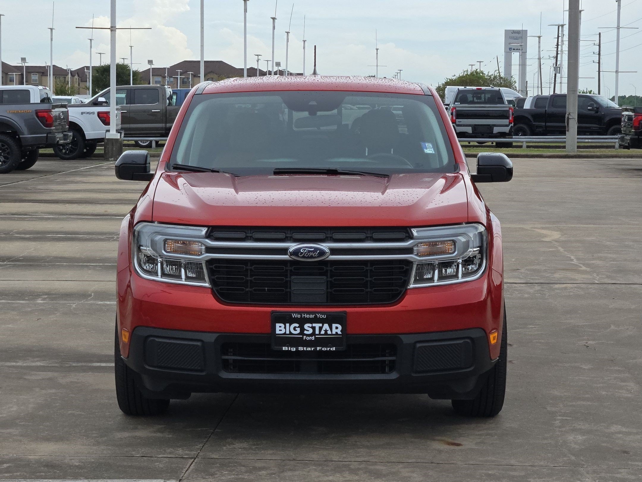 Photo 8