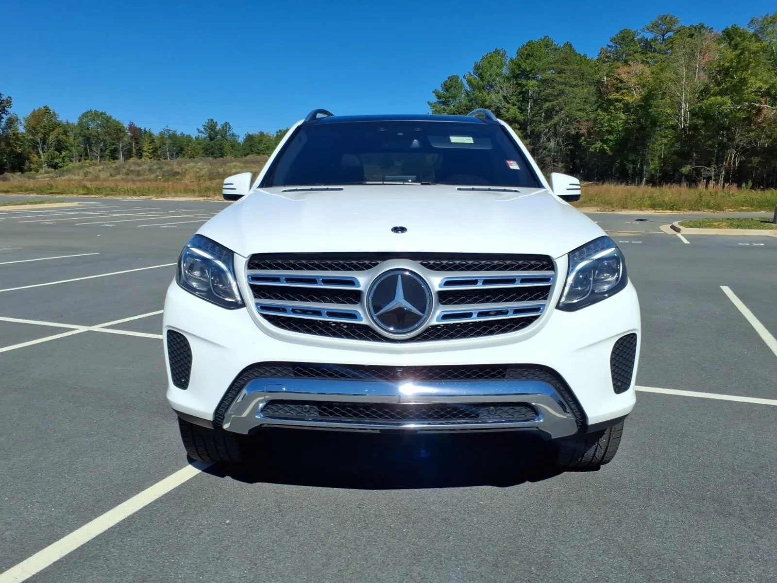 Used 2019 Polar White Mercedes-Benz GLS 450 image 16