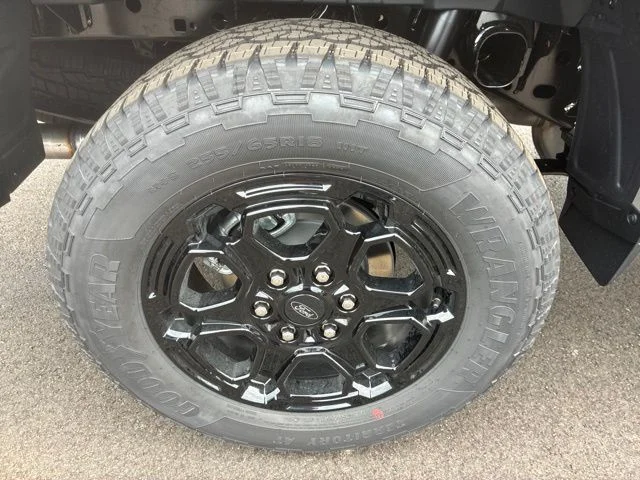 New 2026 Marsh Gray Ford XLT image 13