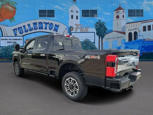 New 2026 Agate Black Metallic Ford Platinum image 3