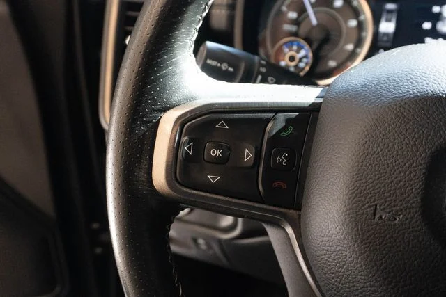 Used 2022 Black Ram Rebel image 25