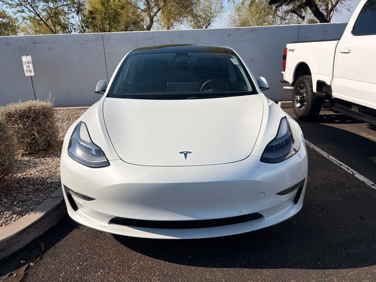 Used 2021 Pearl White Multi-Coat Tesla Standard Range Plus image 2