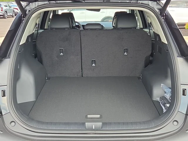 New 2027 Ebony Black Kia EX image 4