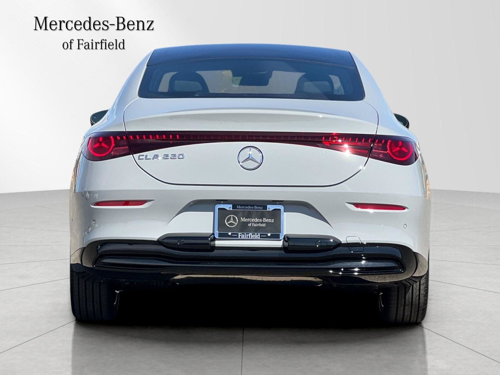 New 2027 MANUFAKTUR Alpine Grey Mercedes-Benz 220 image 7