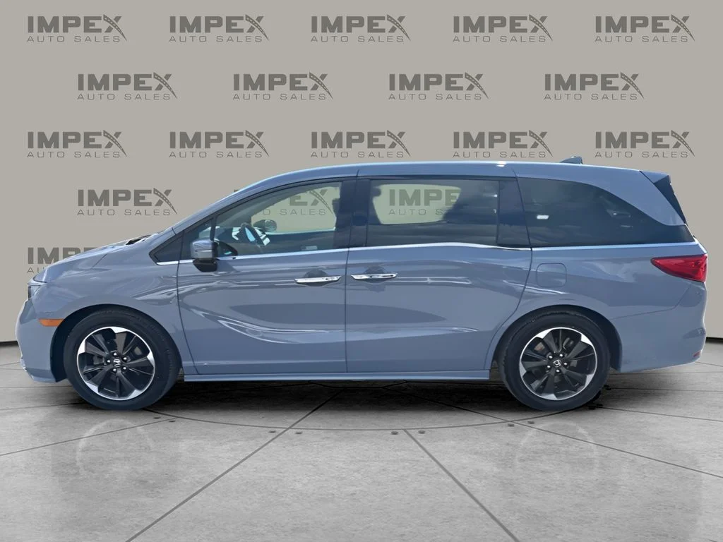 Used 2023 Blue Honda Elite image 2