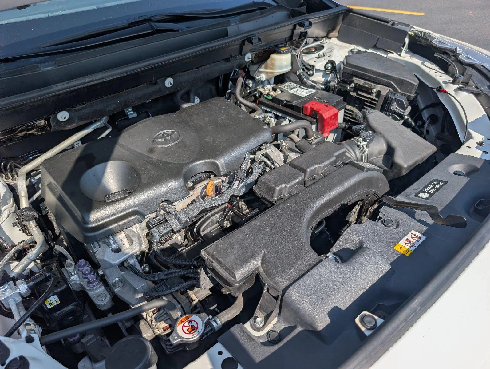 Used 2019 Super White Toyota LE image 14