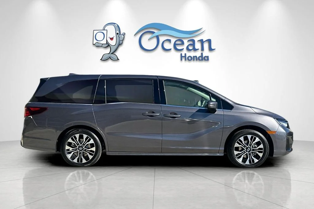 New 2026 Modern Steel Metallic Honda Elite image 8