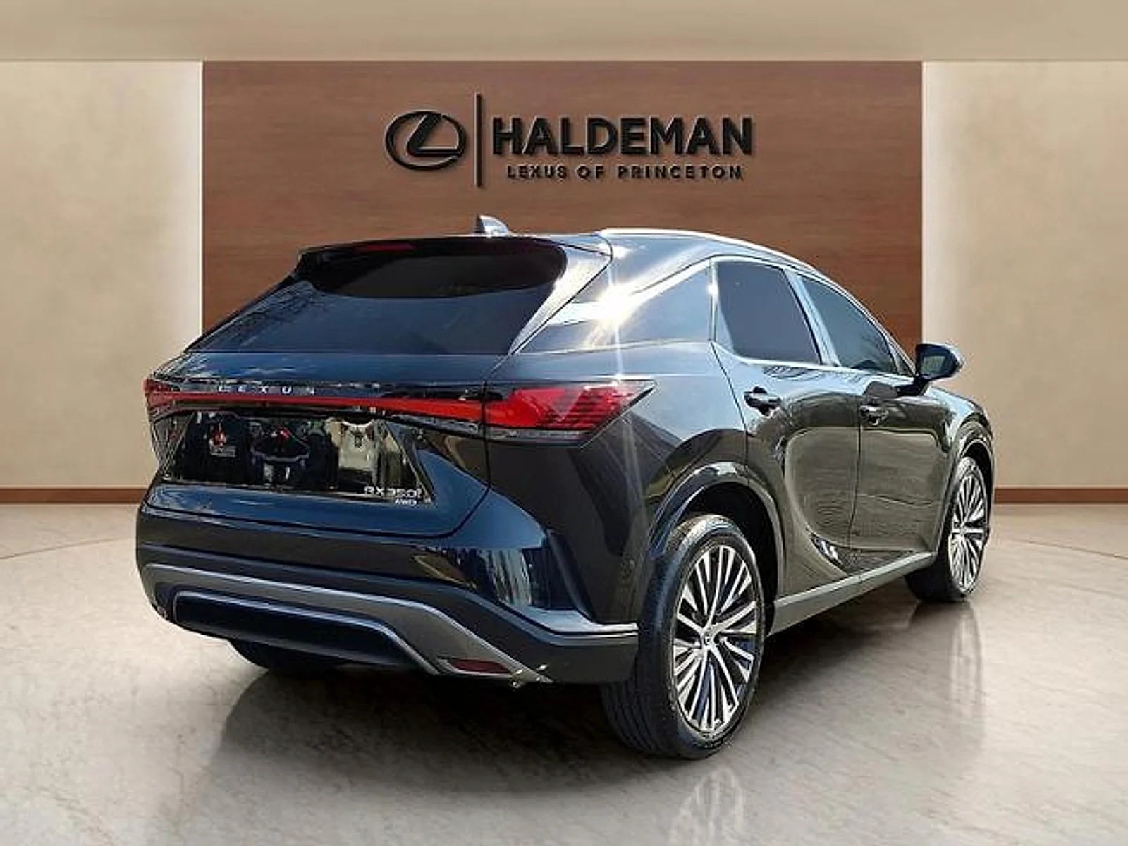 2023 Lexus RX 350 - Photo 6