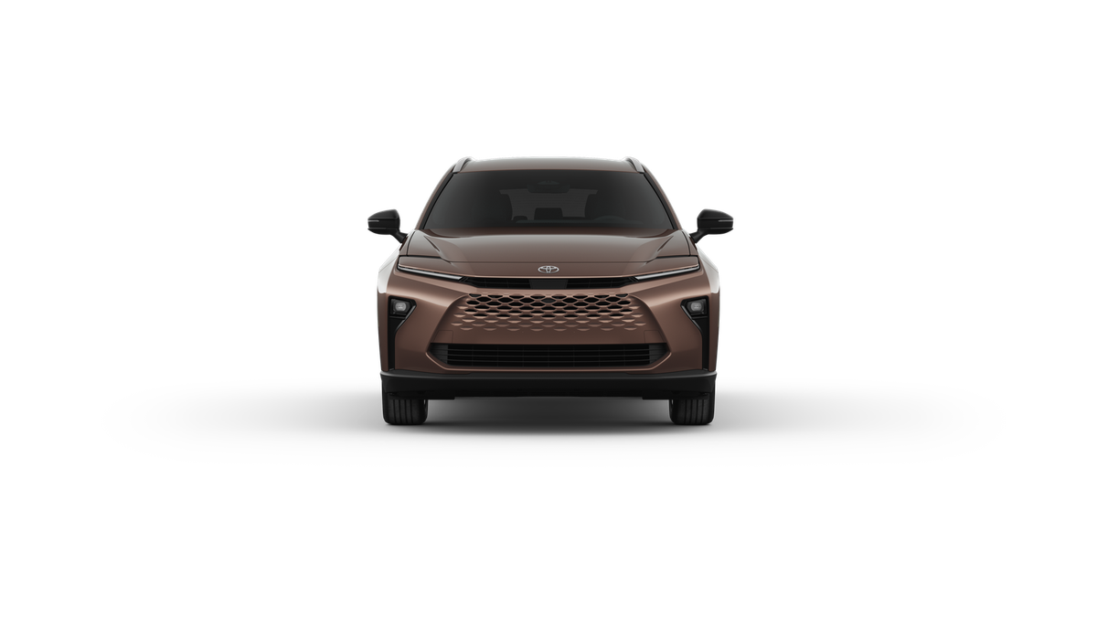 New 2025 Bronze Age Toyota XLE image 31