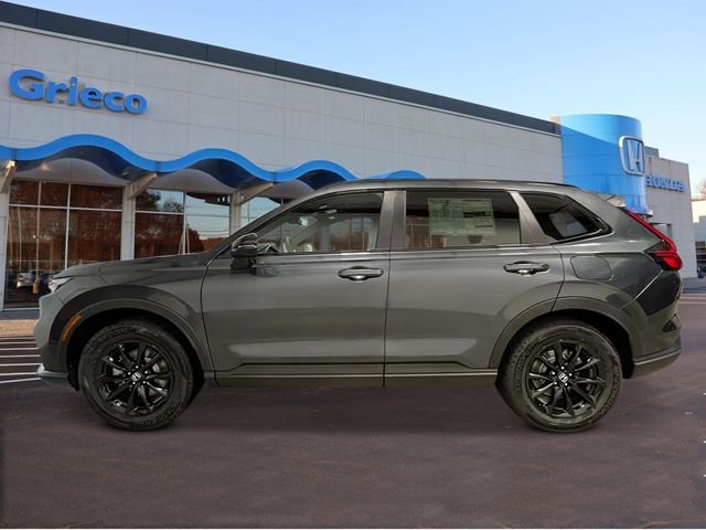 New 2026 Meteorite Gray Metallic Honda Sport-L image 2