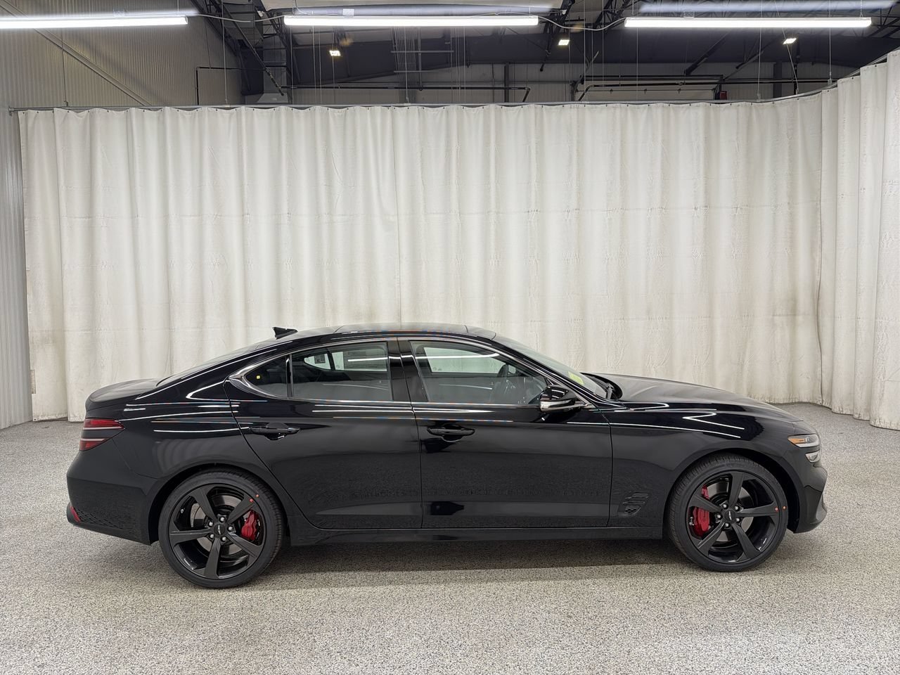 New 2027 Vik Black Genesis Standard image 5