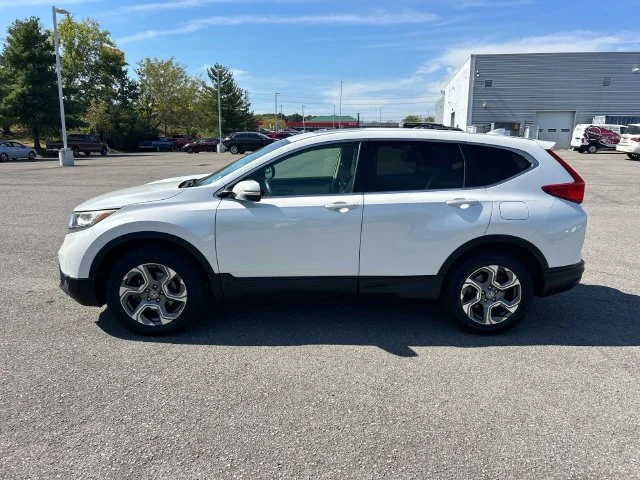 Used 2019  Honda EX image 7