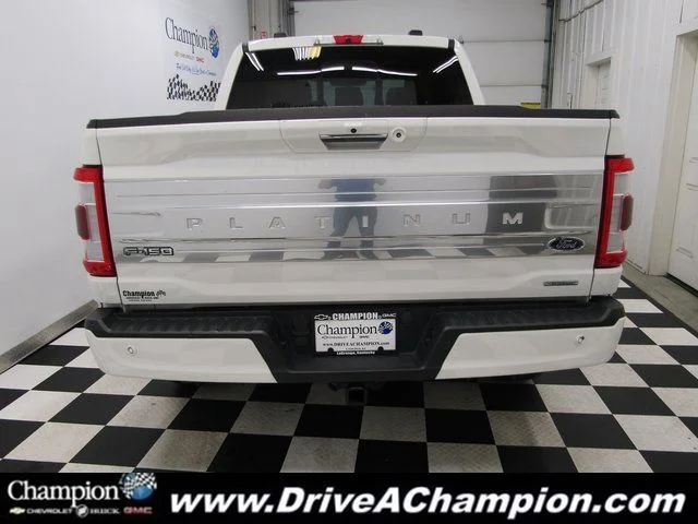 2023 Ford F-150 Platinum - Photo 19