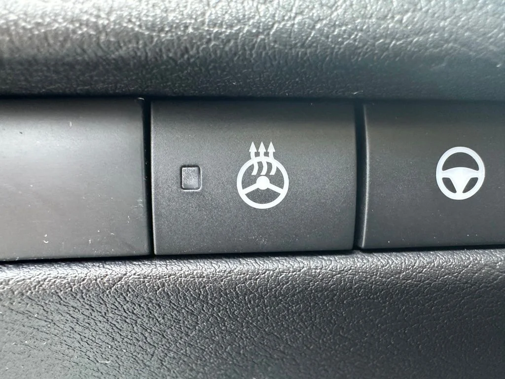 2025 Nissan Kicks SR AWD - Photo 30