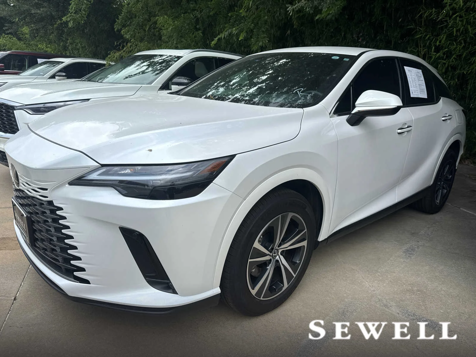 2025 Lexus RX 350's photo