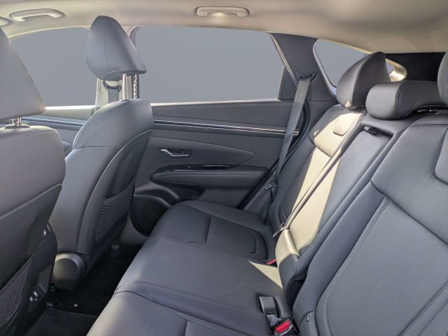 Used 2024 Blue Hyundai SEL Convenience image 14